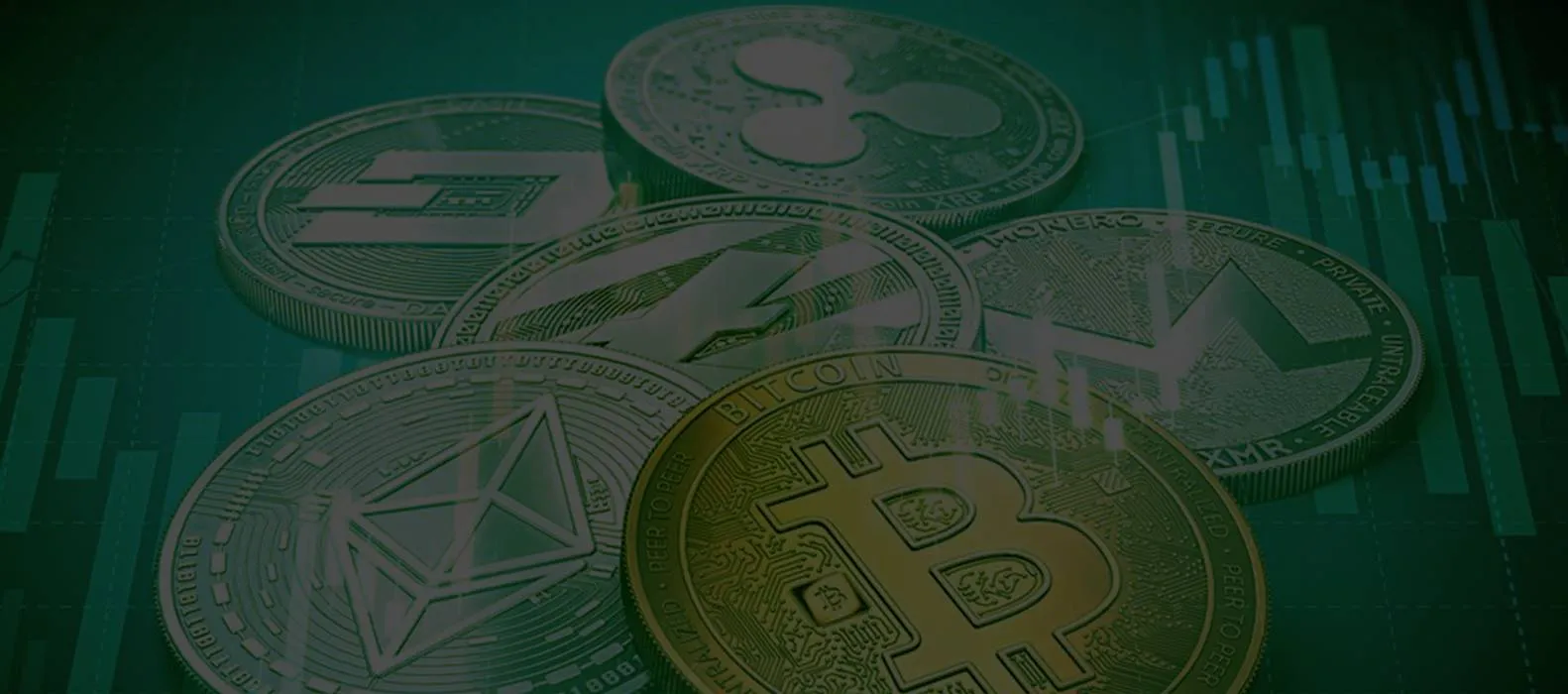 Bitcoin Rejoin - Derek E.